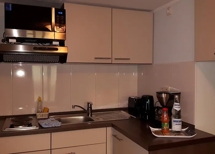 招待所 Nordlicht 比苏姆